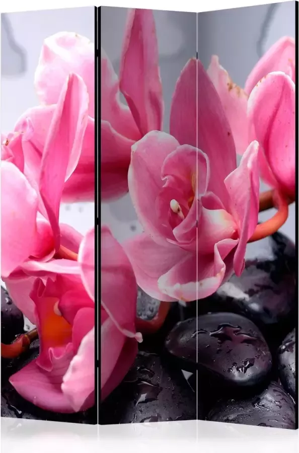 Artgeist Kamerscherm Scheidingswand Vouwscherm Orchid flowers with zen stones [Room Dividers] 135x172 Vouwscherm