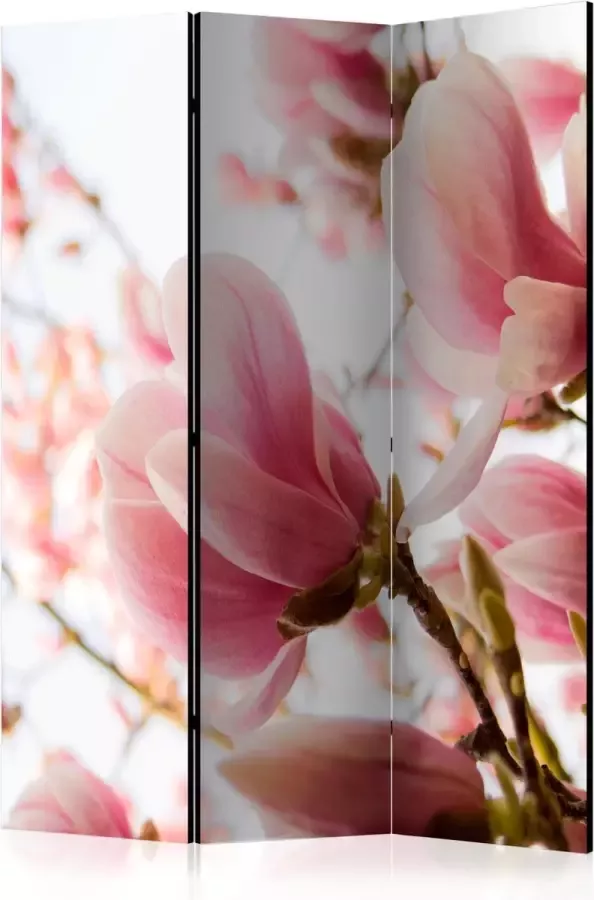 Artgeist Kamerscherm Scheidingswand Vouwscherm Pink magnolia [Room Dividers] 135x172 Vouwscherm