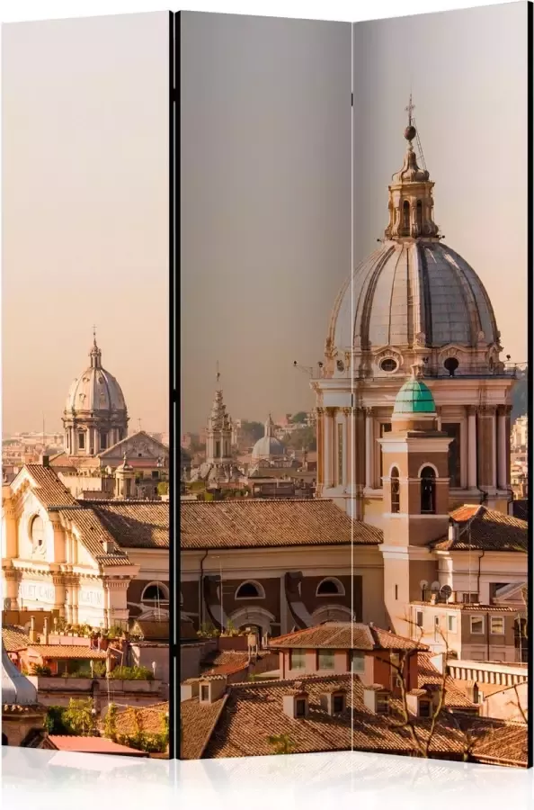 Artgeist Kamerscherm Scheidingswand Vouwscherm Rome bird's eye view [Room Dividers] 135x172 Vouwscherm