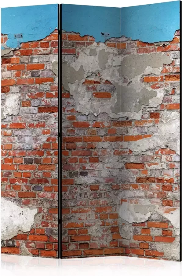 Artgeist Kamerscherm Scheidingswand Vouwscherm Secrets of the Wall [Room Dividers] 135x172 Vouwscherm