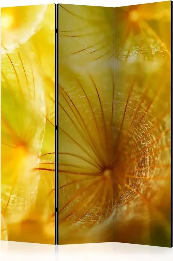 Artgeist Kamerscherm Scheidingswand Vouwscherm Soft dandelion flower [Room Dividers] 135x172 Vouwscherm