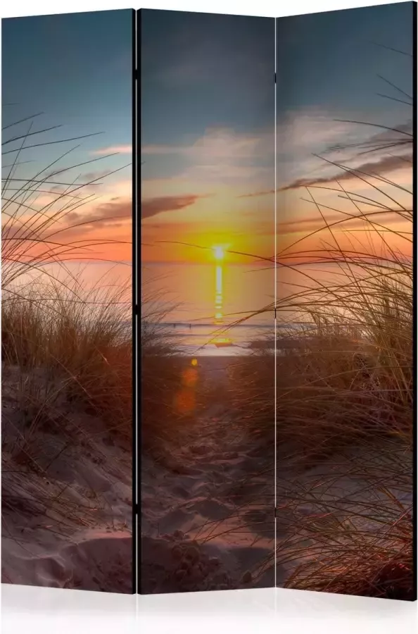 Artgeist Kamerscherm Scheidingswand Vouwscherm Sunset over the Atlantic Ocean [Room Dividers] 135x172 Vouwscherm