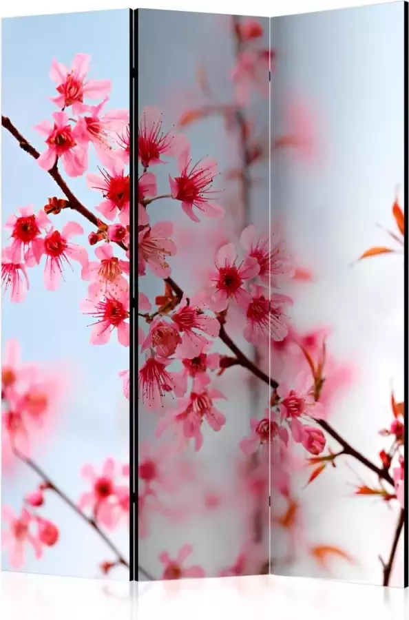 Artgeist Kamerscherm Scheidingswand Vouwscherm Symbol of Japan sakura flowers [Room Dividers] 135x172 Vouwscherm