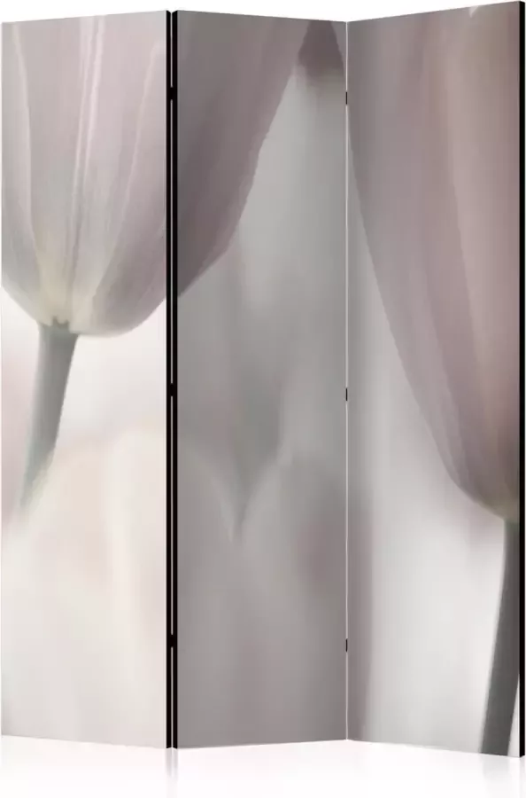 Artgeist Kamerscherm Scheidingswand Vouwscherm Tulips fine art black and white [Room Dividers] 135x172 Vouwscherm