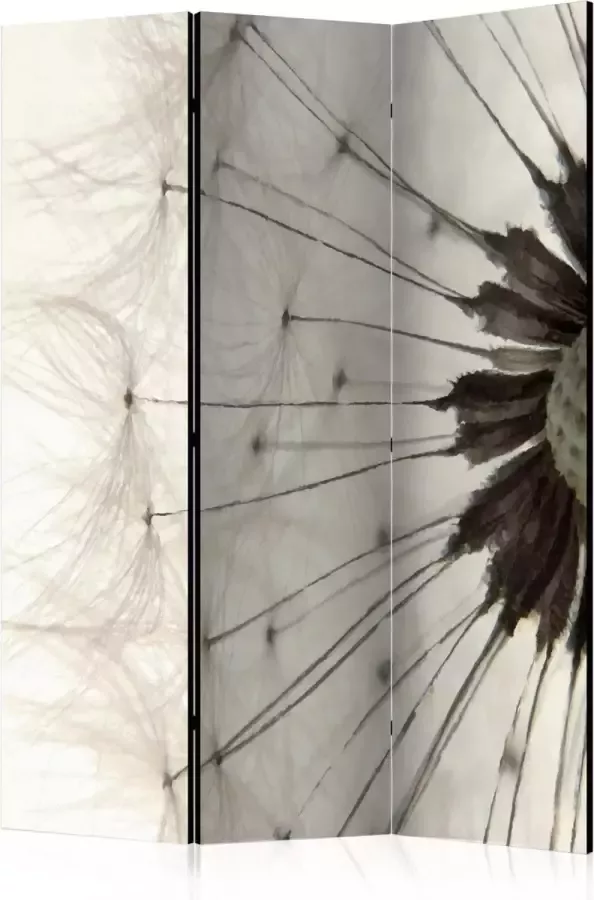 Artgeist Kamerscherm Scheidingswand Vouwscherm White Dandelion [Room Dividers] 135x172 Vouwscherm