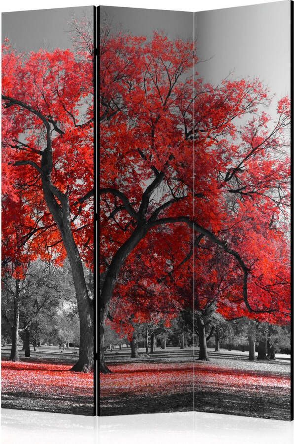 Artgeist Vouwscherm Autumn in the Park [Room Dividers]