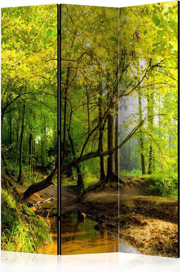 Artgeist Vouwscherm Forest Clearing [Room Dividers]