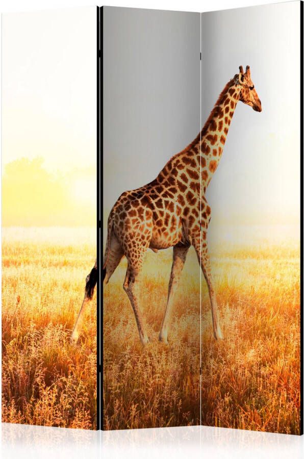Artgeist Vouwscherm giraffe walk [Room Dividers]