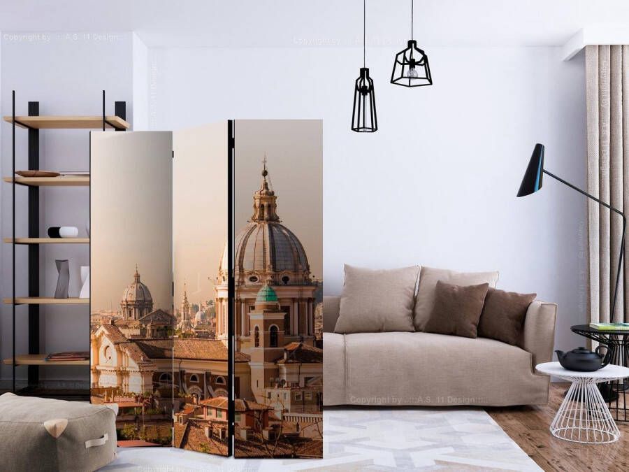 Artgeist Vouwscherm Rome bird's eye view [Room Dividers]