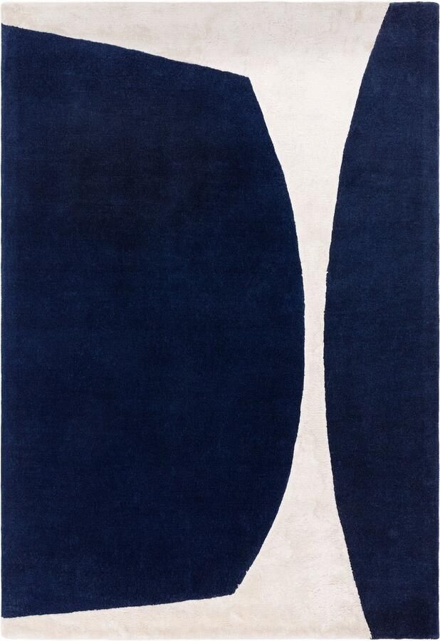 Asiatic Matrix 102 Signature Indigo vloerkleed x 230 cm