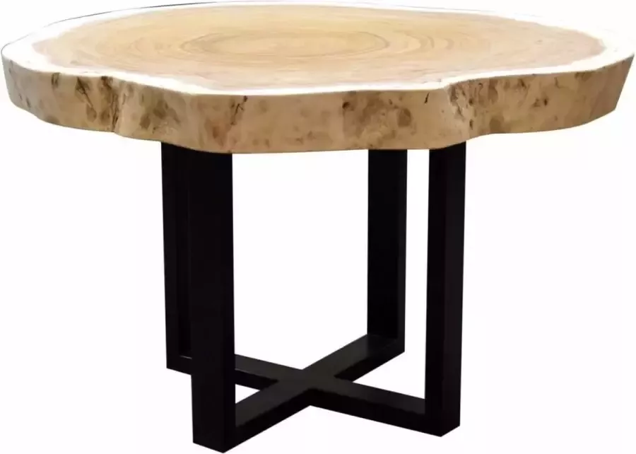 AVH-Collectie Boomstamtafel 100xH75 cm rond roestvrij stalen poten bladdikte 9 cm