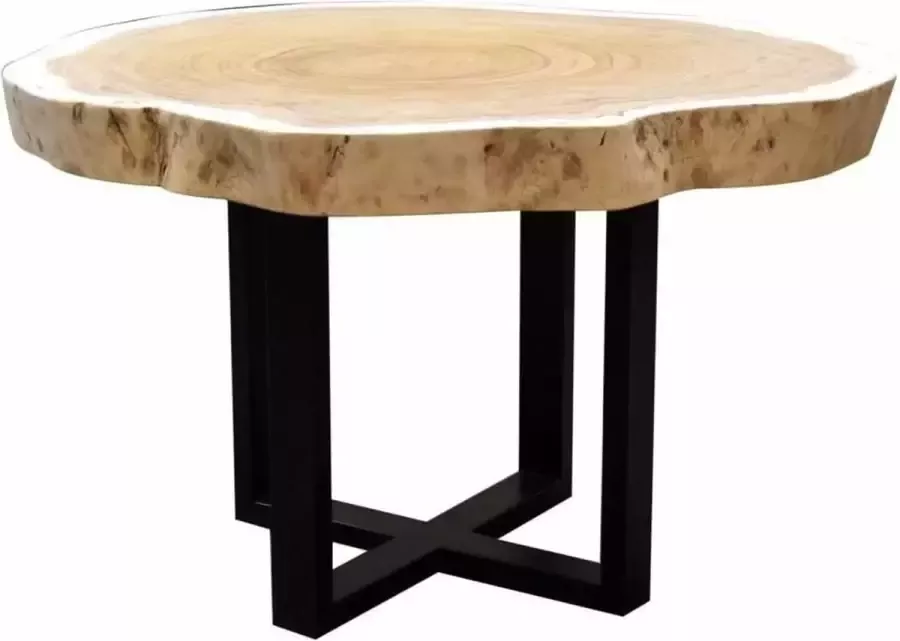 AVH-Collectie Boomstamtafel 120xH75 cm rond roestvrij stalen poten bladdikte 10 cm