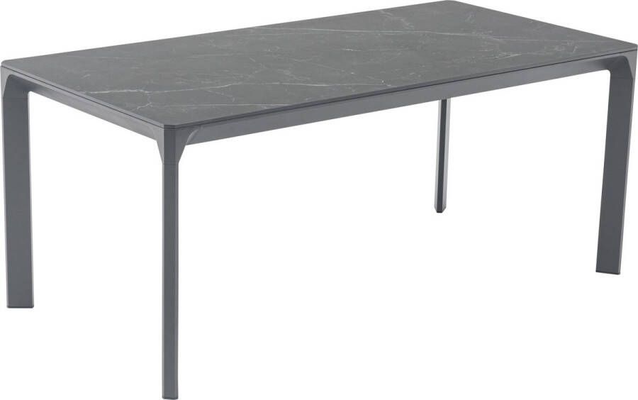 AVH-Collectie Dora dining tuintafel 180x90xH75 cm aluminium