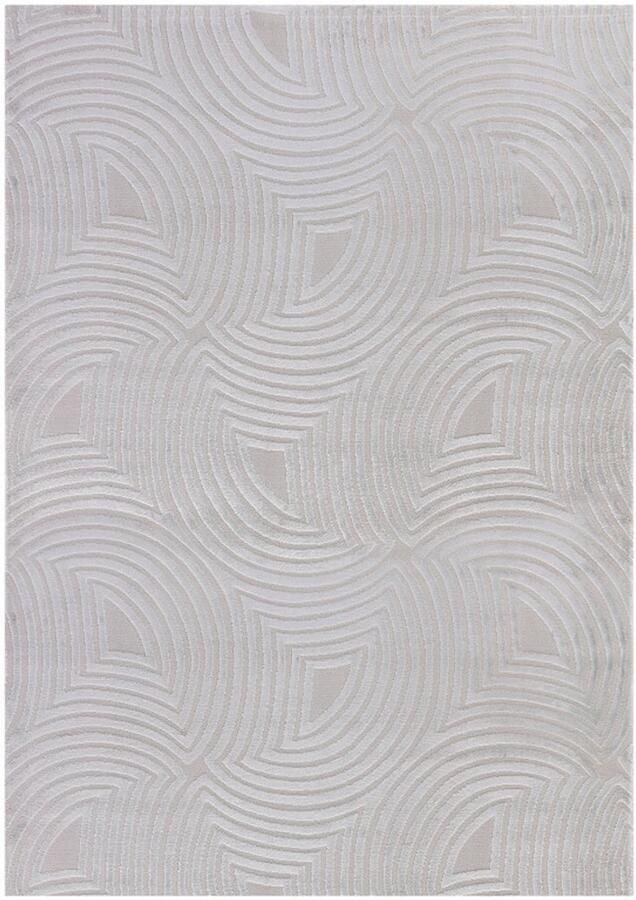 Ayyildiz Vloerkleed Sahara 3D Japandi Stijl 120 x 170 cm Grijs