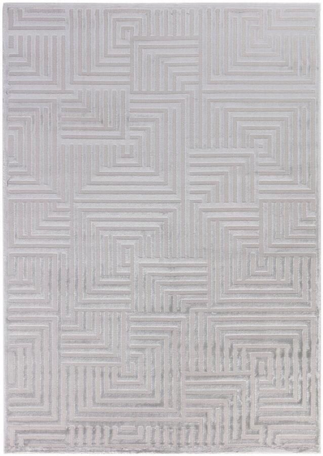 Tapijtenmagazijn Sahara Vloerkleed – Zilver – Minimalistisch Rasterpatroon – Tijdloos Design – 160x230 cm - Foto 2