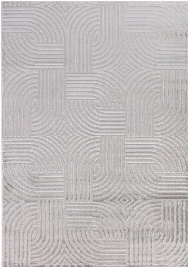 Tapijtenmagazijn Sahara Vloerkleed – Zilver – Subtiel Cirkelpatroon – Modern & Praktisch – 80x150 cm