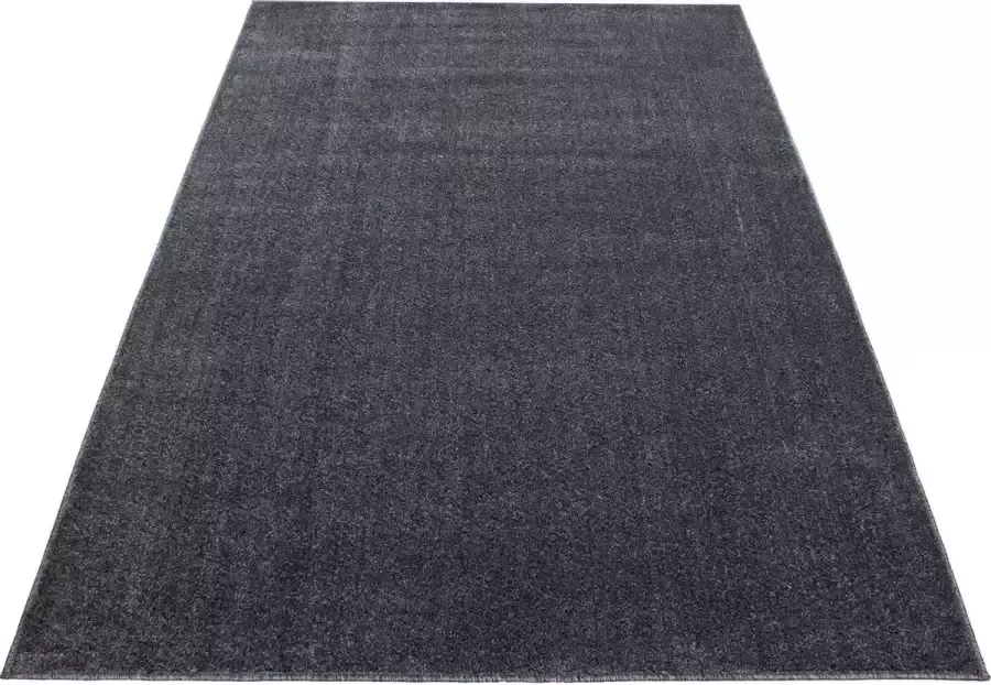 Ayyildiz Laag polig tapijt in de kleur grijs