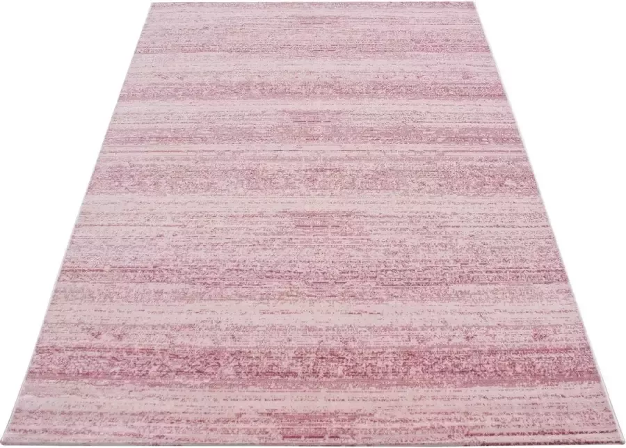 Ayyildiz Tapijt Modern gedessineerd vloerkleed met 2 kleuren roze