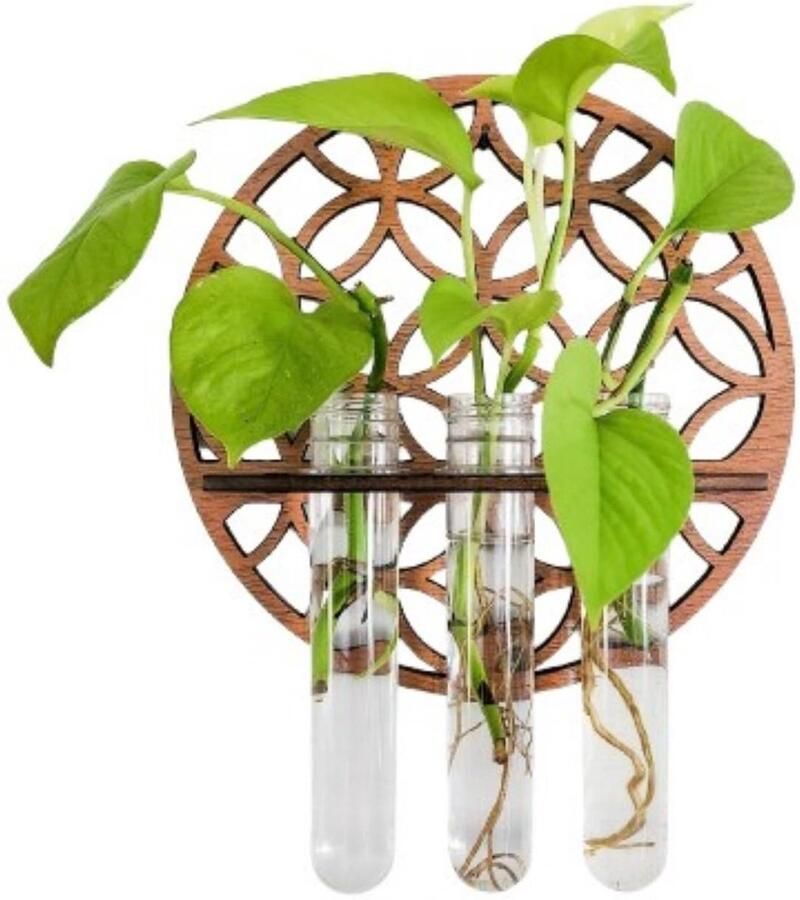 Azomor Ronde houten wandplank voor planten en decoratieve buisjes in huis