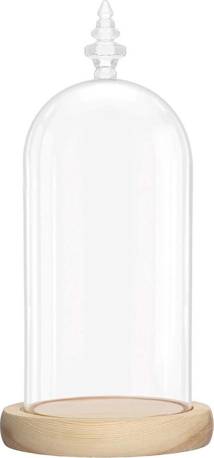 Bastix Glazen klok glazen koepel groot met houten bodem 26 5 cm decoratieve glazen kap als tafeldecoratie decoratieve glazen koepel transparante glazen klok glazen koepel met bodem voor verlichting decoratie woonaccessoire