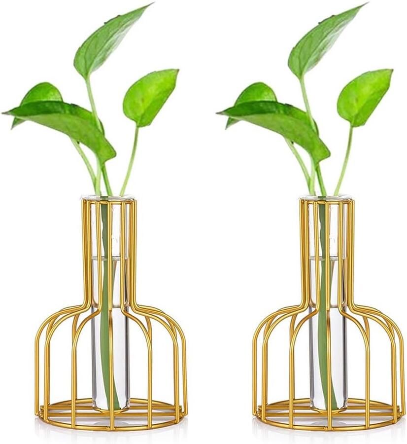 Bastix Mini-vazen set van 2 stuks goud kleine vazen voor tafeldecoratie bloemenvaas moderne bud hydrocultuur glazen vaas reageerbuisjes voor bloemen bruiloft woonkamer decoratie dienblad tafel badkamerdecoratie