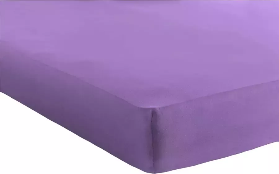 Bed Care Jersey Stretch Hoeslaken 160 180x200 100% Katoen 30CM Hoekhoogte Paars