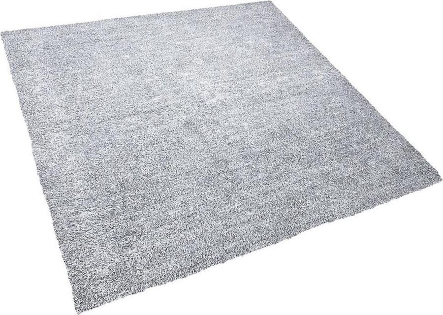 Beliani DEMRE Shaggy vloerkleed Grijs gemÃªleerd 200x200 cm Polyester