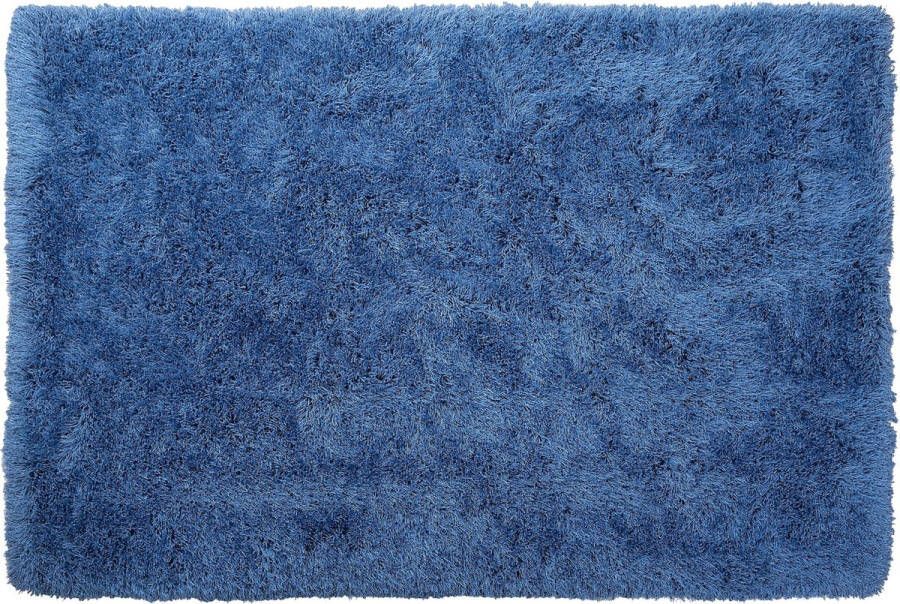 Beliani CIDE Shaggy vloerkleed Blauw 200 x 300 cm Polyester