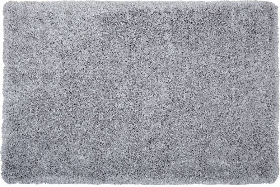 Beliani CIDE Shaggy vloerkleed Grijs 200 x 300 cm Polyester