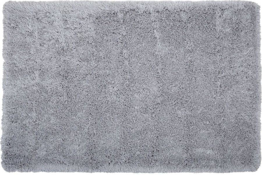 Beliani CIDE Shaggy vloerkleed Lichtgrijs 200 x 300 cm Polyester