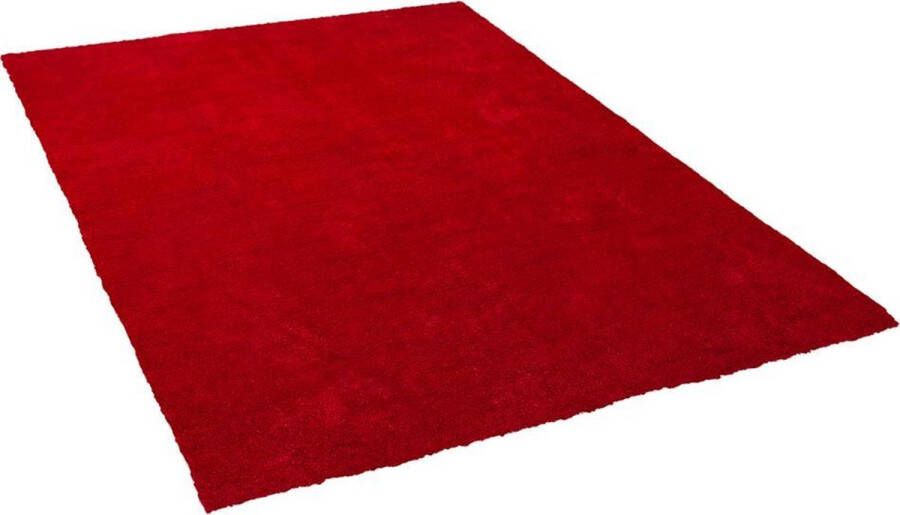 Beliani DEMRE Shaggy vloerkleed Rood 200 x 200 cm Polyester