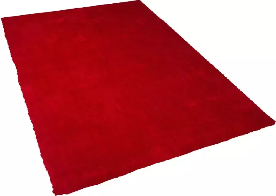 Beliani DEMRE Shaggy vloerkleed Rood 200 x 300 cm Polyester