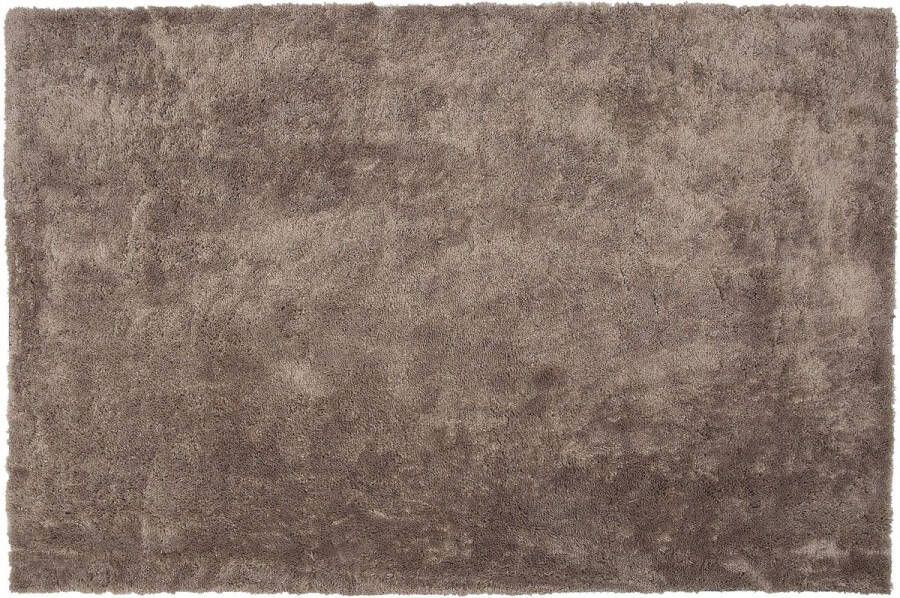 Beliani EVREN Shaggy vloerkleed Bruin 200 x 300 cm Polyester