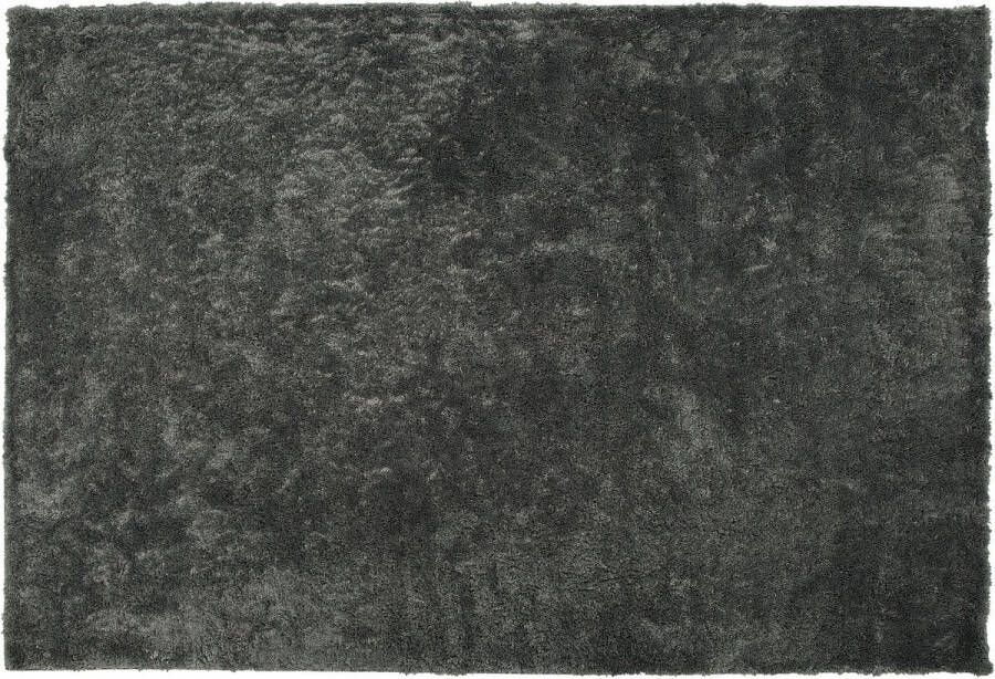 Beliani EVREN Shaggy vloerkleed Donkergrijs 200 x 300 cm Polyester