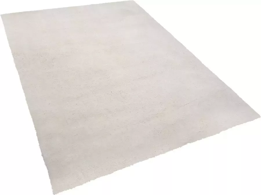 Beliani EVREN Shaggy vloerkleed Wit Kunststof