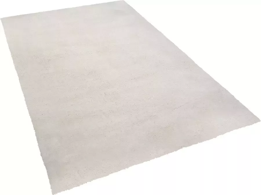Beliani EVREN Shaggy vloerkleed Wit Kunststof