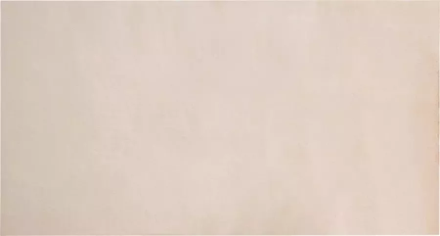 Beliani MIRPUR Shaggy vloerkleed Beige 80 x 150 cm Polyester - Foto 2
