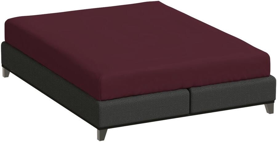 Bella Donna Twijfelaar Hoeslaken Jersey cabernet-0033 120 200-130 220