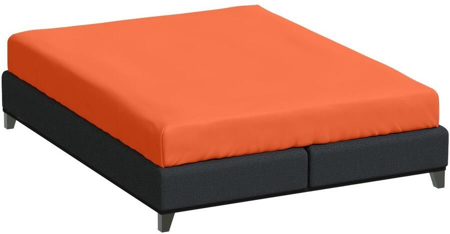 Bella Donna Twijfelaar Hoeslaken Jersey mango-0704 120 200-130 220