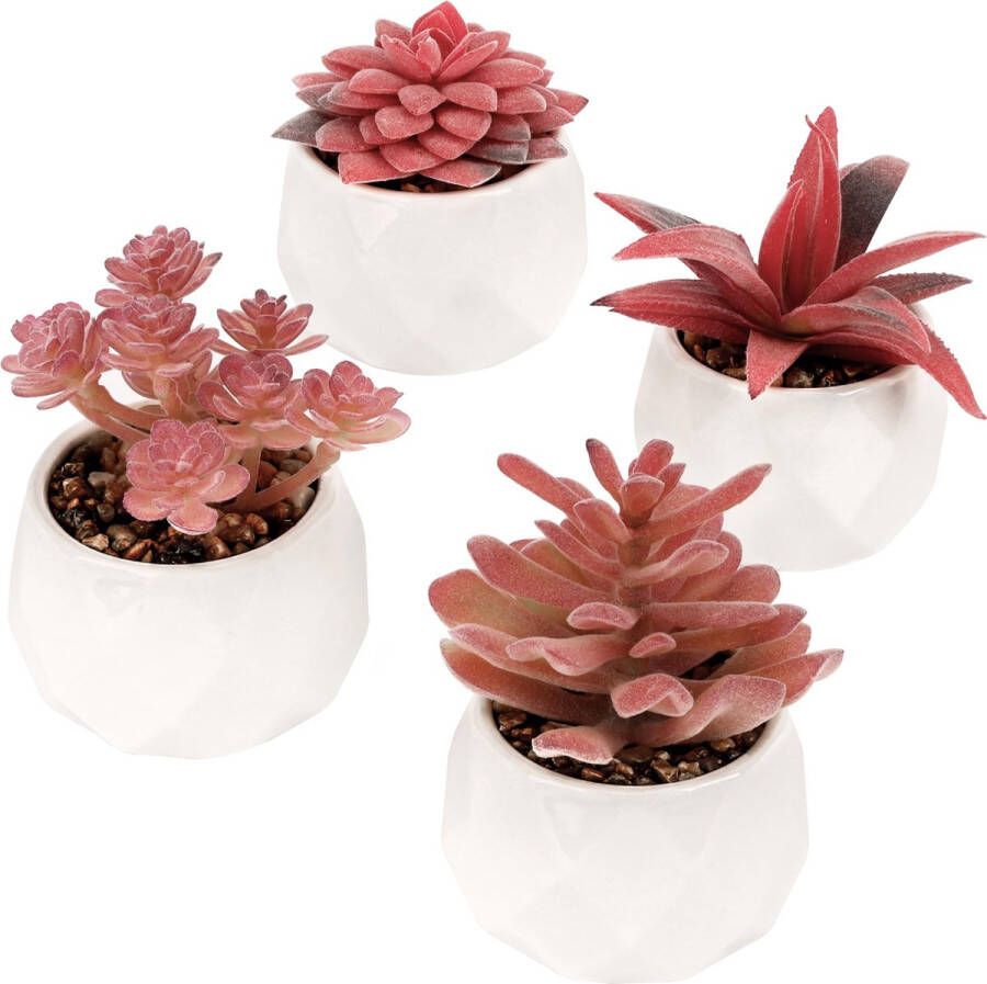 BELLE VOUS 4 Roze Artificiële Vetplanten in Potten Decoratieve Faux Gepotte Bloemen Realistische Mini Nep Planten in Keramische Potten voor Huis Kantoor Tafel Bureau Slaapkamer Decoratie