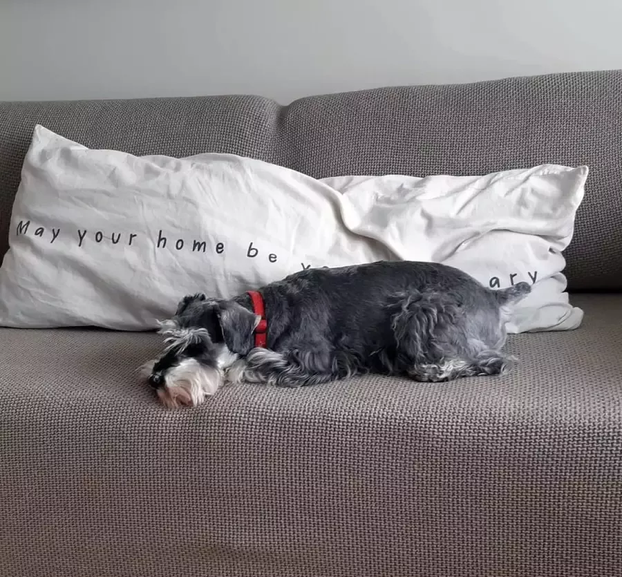 Belmarti Bankhoes Milos 140cm tot 180cm breed Steenrood Bankhoezen van ademend katoen Premium kwaliteit Extreme stretch