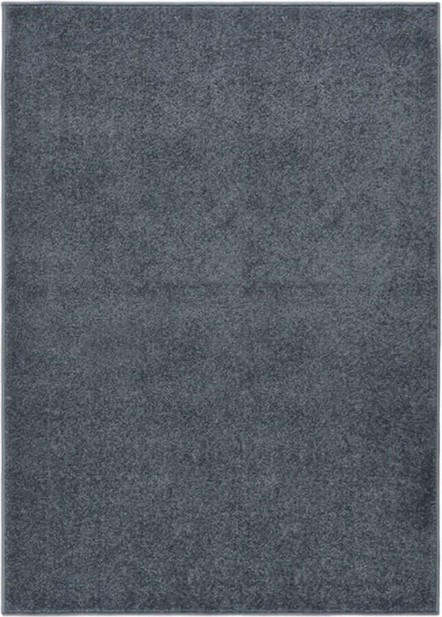 Beroli Kortpolig Vloerkleed 120x170 cm Antracietkleurig Stijlvolle en Zachte Tapijt voor Je Interieur