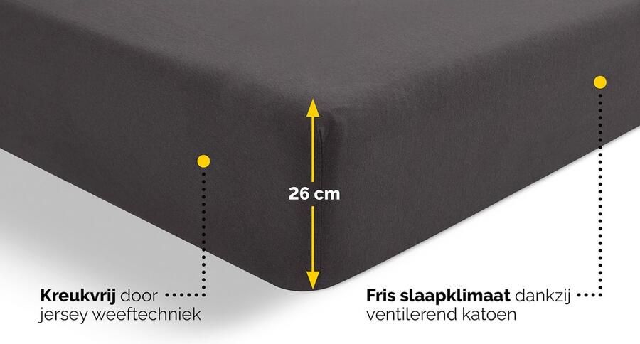 Beter Bed Select Jersey Hoeslaken 120 x 200 210 220 cm 100% Katoen Matrasbeschermer Matrashoes Antraciet