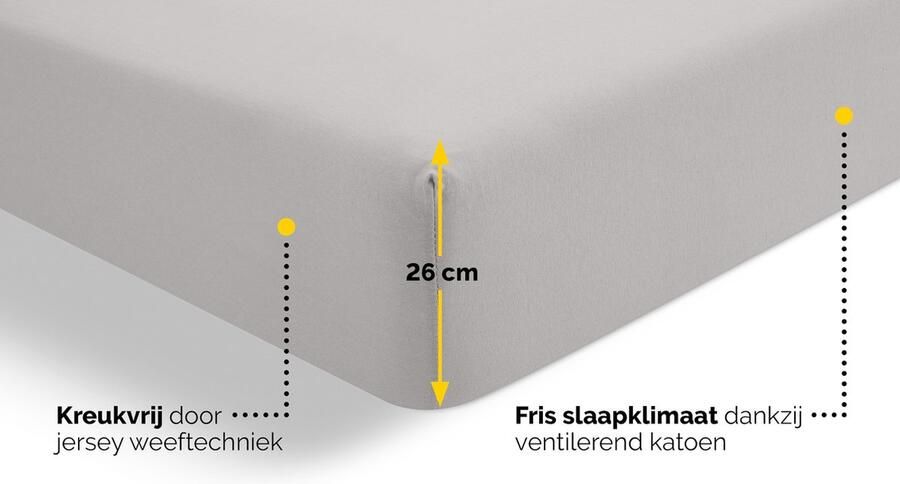 Beter Bed Select Jersey Hoeslaken 100 x 200 210 220 cm 100% Katoen Matrasbeschermer Matrashoes Lichtgrijs