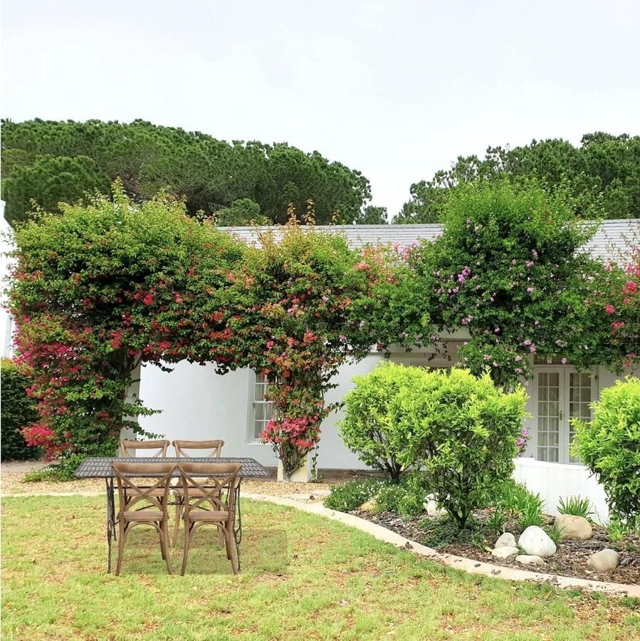 BISCOTTINI Rechthoek Inklapbaar Tuintafel Tuin Eettafels Massief Smeedijzer Antiek Roestkleur 150x80x77 cm Voor tuin terras balkon