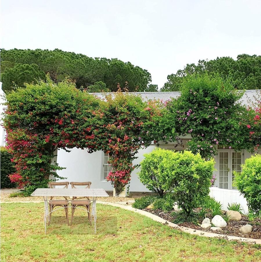 BISCOTTINI Rechthoek Inklapbaar Tuintafel Tuin Eettafels Massief Smeedijzer Antiek Wit Tuintafel 150x80x77 cm Voor tuin terras balkon