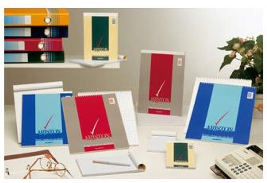 Blasetti Ariston 15x21cm schrijfblok & schrift Meerkleurig