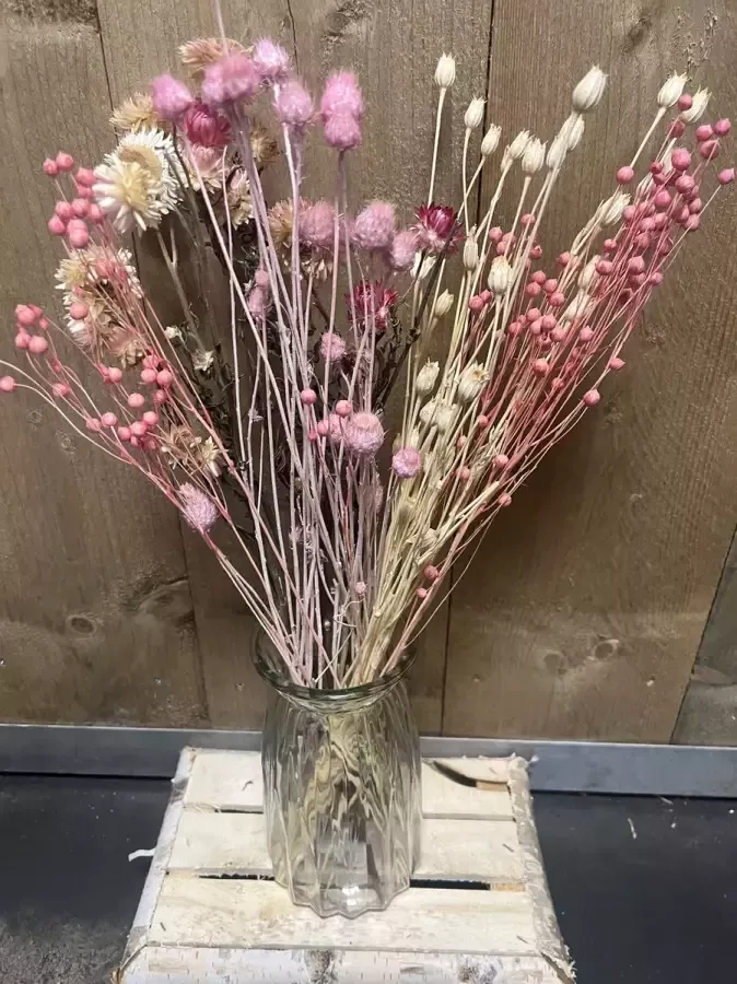 Bloemenshopmaja.nl Droogbloemenboeket-boeket 50 cm-droogbloemen-verschillende voorjaars kleuren-verschillende combinaties-bloemenshopMaja-kado te geven-gezellig op tafel of kast