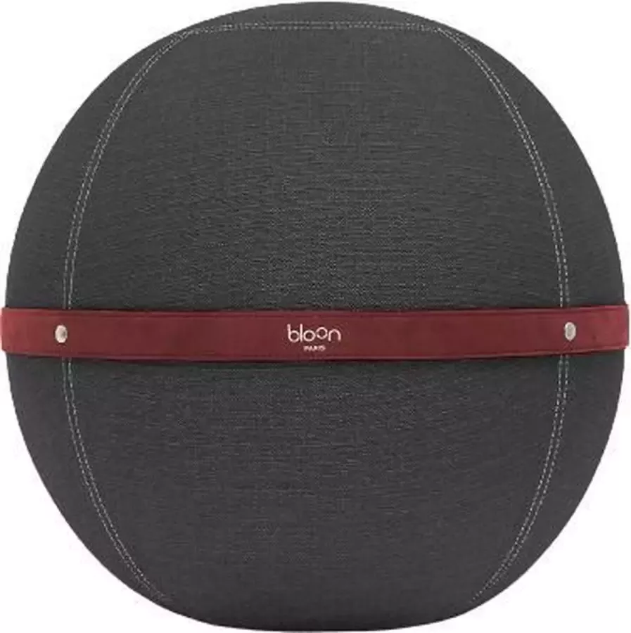 BLOON PARIS Zitbal Grijs Rood Ergonomisch verantwoord werken Zitbal kantoor of thuiswerken