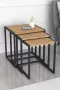 Bofigo SNS Home Set van 3 Coffee Tables Metal Salontafel Bijzettafel Set van 3 Coffee Metalen Nesttafel Pijnboom - Thumbnail 2